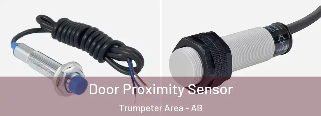  Door Proximity Sensor Trumpeter Area - AB