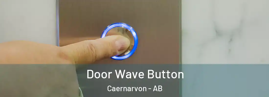  Door Wave Button Caernarvon - AB