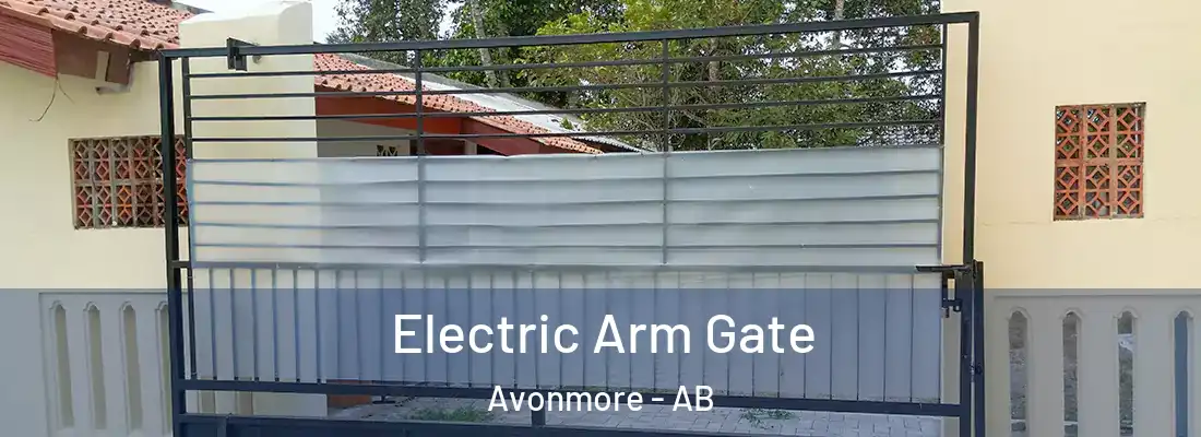 Electric Arm Gate Avonmore - AB