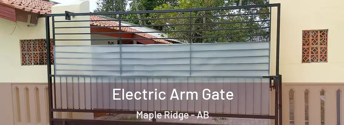  Electric Arm Gate Maple Ridge - AB