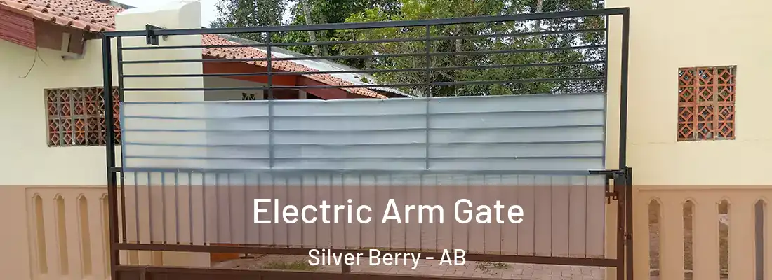  Electric Arm Gate Silver Berry - AB