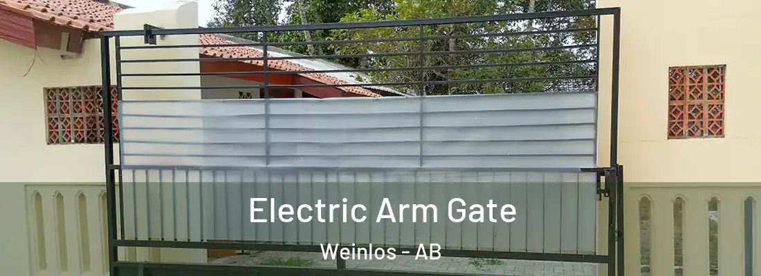  Electric Arm Gate Weinlos - AB