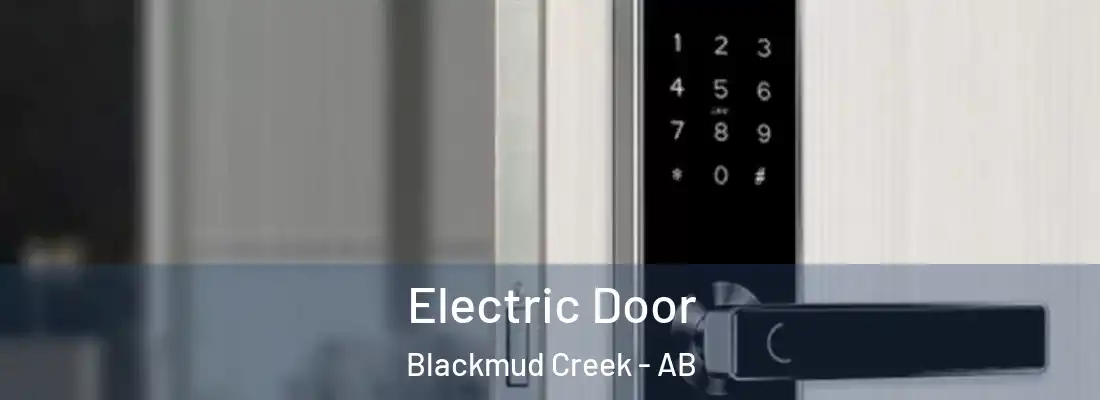  Electric Door Blackmud Creek - AB