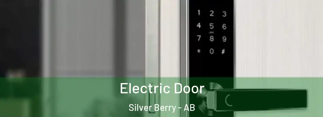  Electric Door Silver Berry - AB