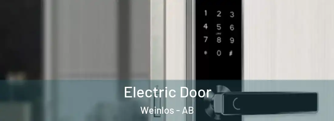  Electric Door Weinlos - AB