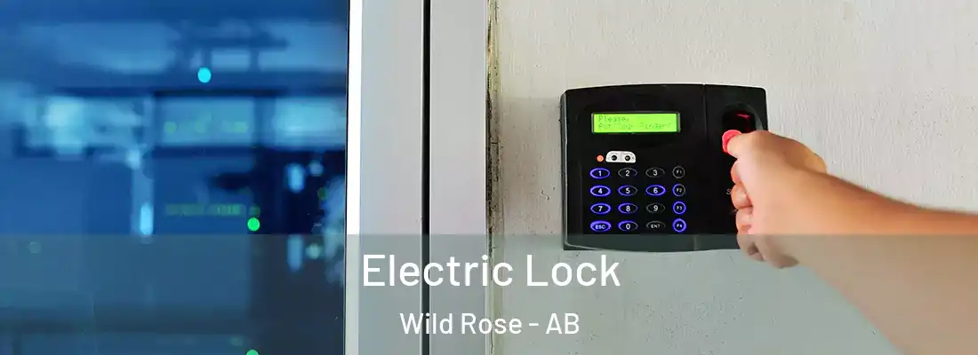  Electric Lock Wild Rose - AB