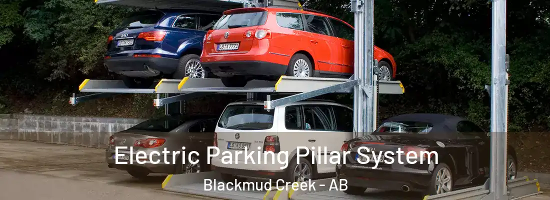  Electric Parking Pillar System Blackmud Creek - AB