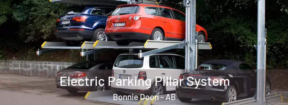  Electric Parking Pillar System Bonnie Doon - AB