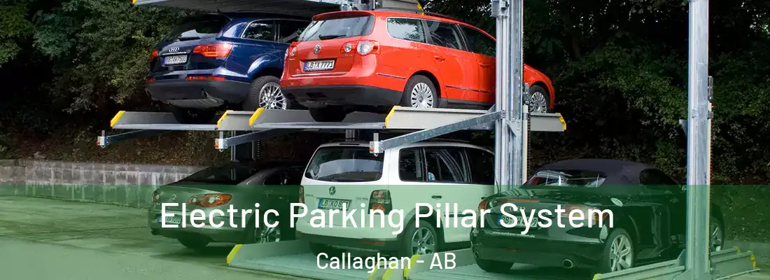  Electric Parking Pillar System Callaghan - AB