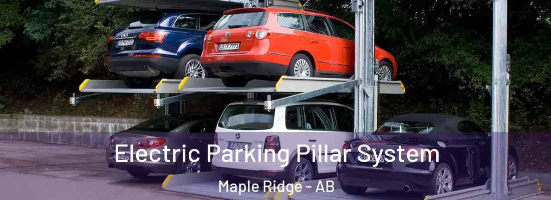  Electric Parking Pillar System Maple Ridge - AB
