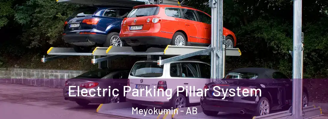  Electric Parking Pillar System Meyokumin - AB