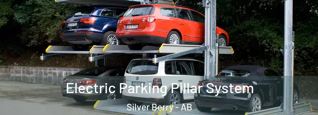  Electric Parking Pillar System Silver Berry - AB