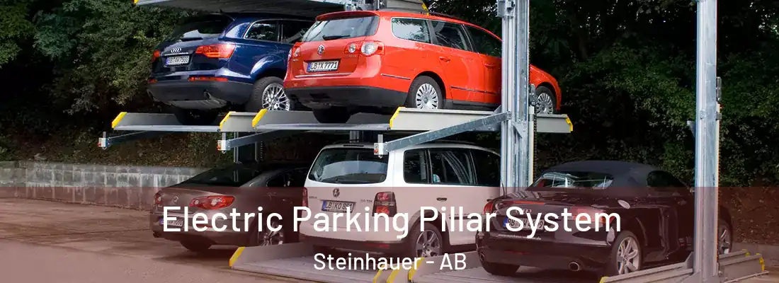  Electric Parking Pillar System Steinhauer - AB