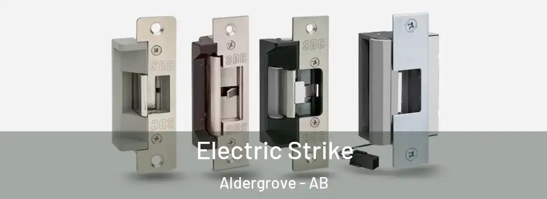  Electric Strike Aldergrove - AB