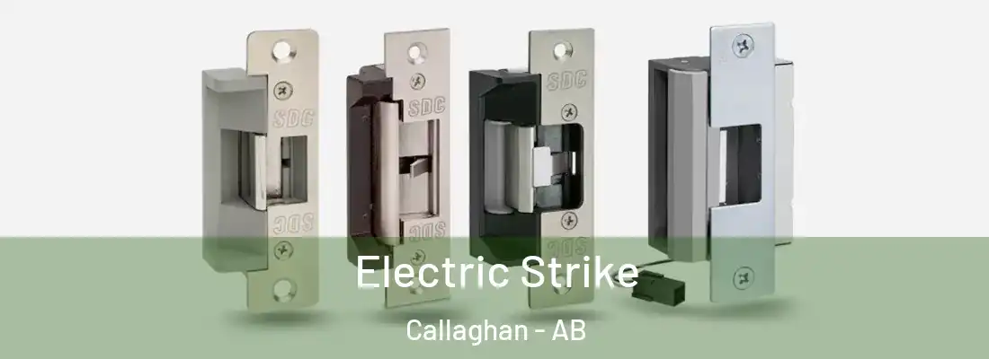  Electric Strike Callaghan - AB