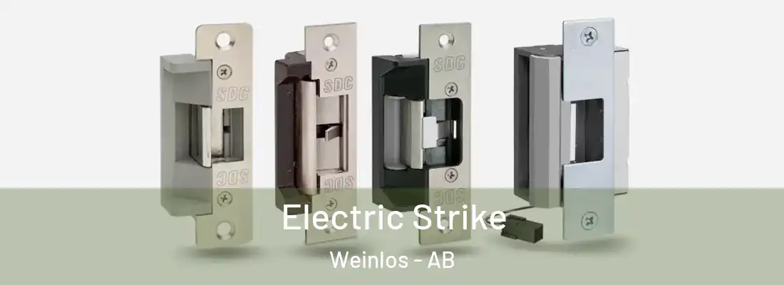  Electric Strike Weinlos - AB