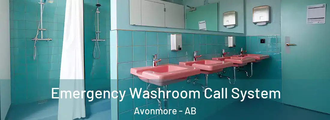 Emergency Washroom Call System Avonmore - AB