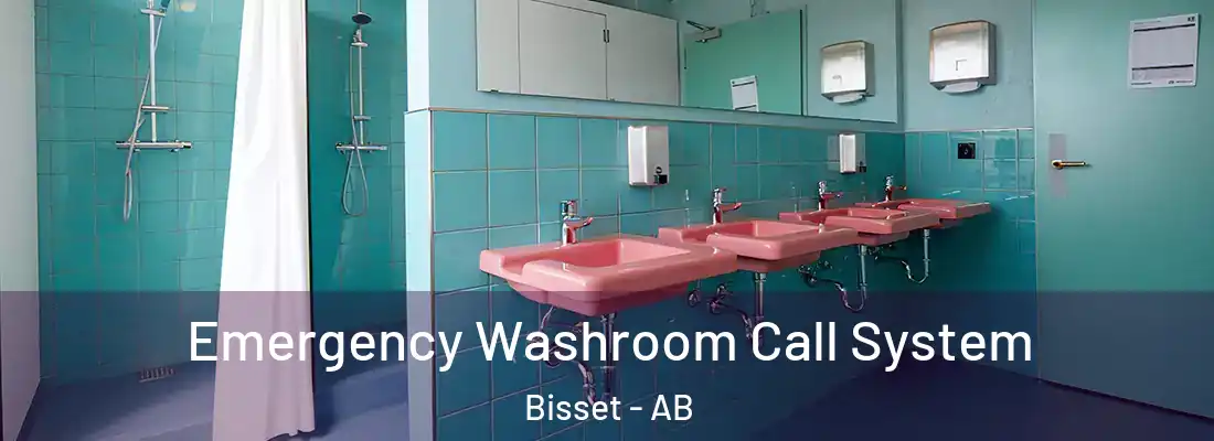  Emergency Washroom Call System Bisset - AB