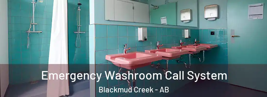 Emergency Washroom Call System Blackmud Creek - AB