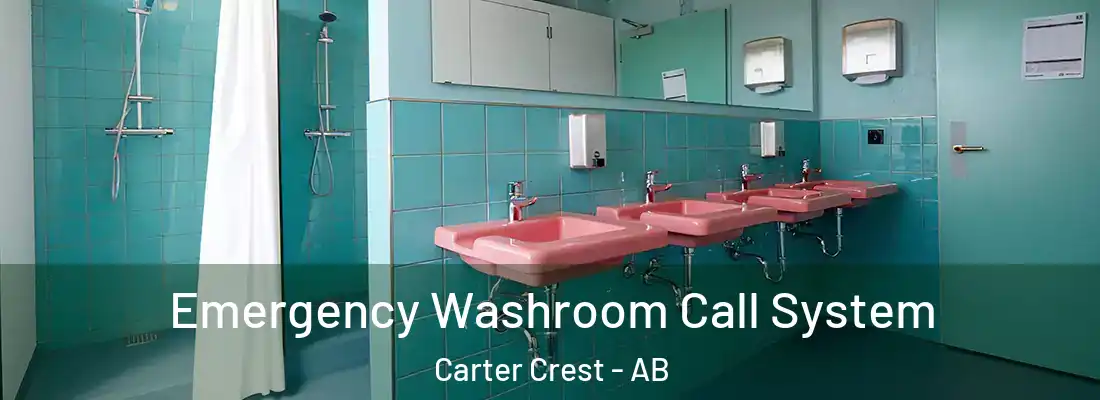  Emergency Washroom Call System Carter Crest - AB