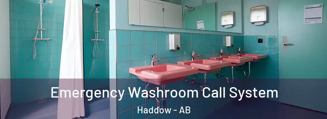  Emergency Washroom Call System Haddow - AB