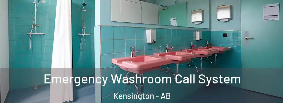  Emergency Washroom Call System Kensington - AB