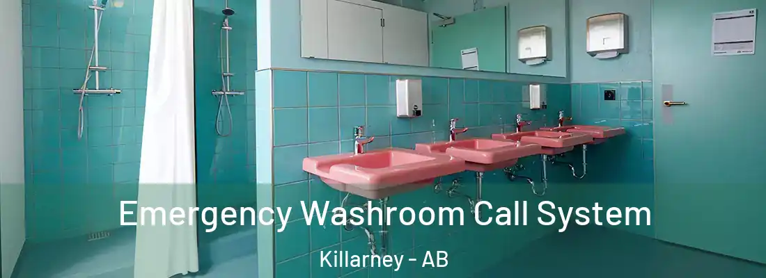  Emergency Washroom Call System Killarney - AB