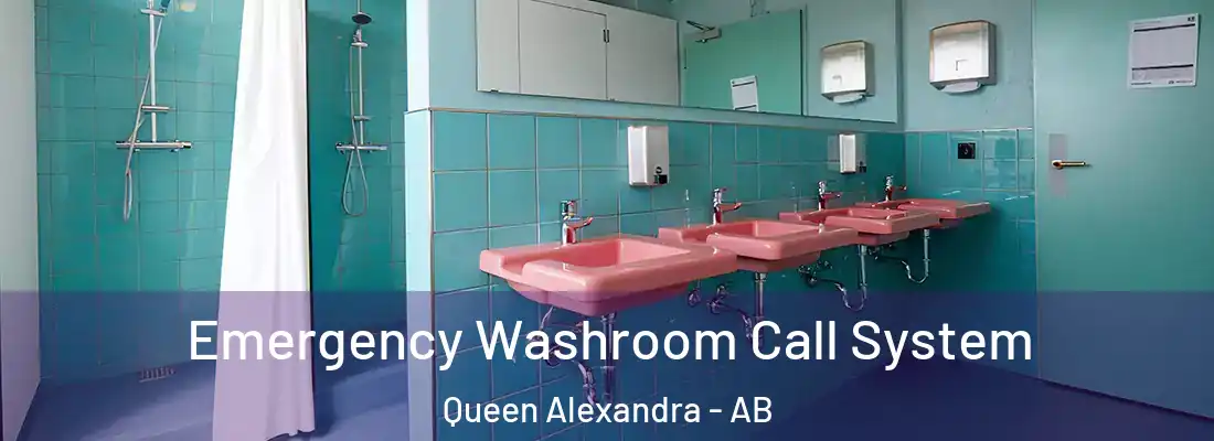  Emergency Washroom Call System Queen Alexandra - AB