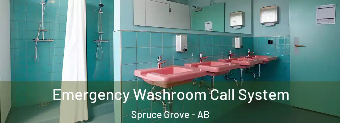  Emergency Washroom Call System Spruce Grove - AB
