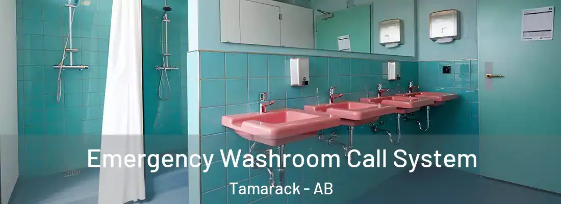 Emergency Washroom Call System Tamarack - AB