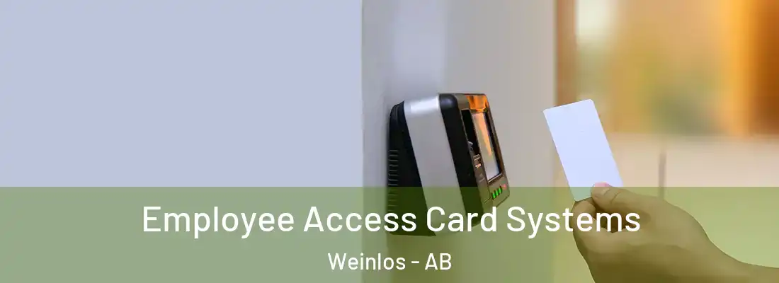  Employee Access Card Systems Weinlos - AB