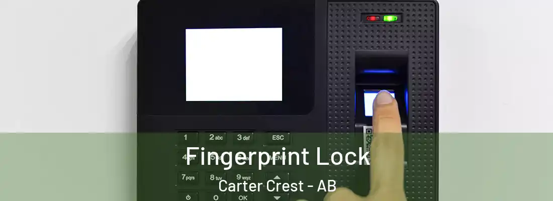  Fingerprint Lock Carter Crest - AB