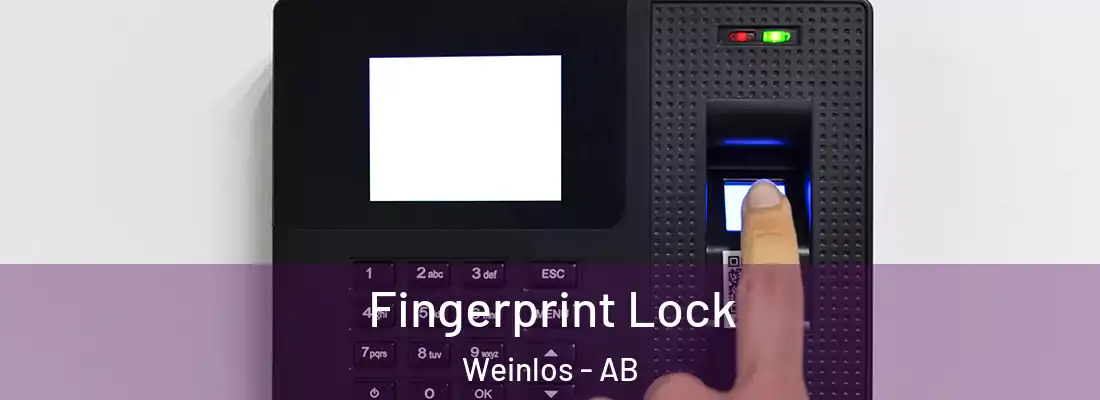  Fingerprint Lock Weinlos - AB