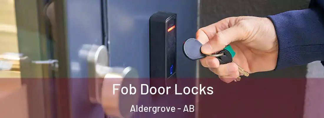  Fob Door Locks Aldergrove - AB