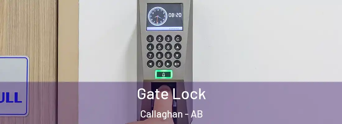  Gate Lock Callaghan - AB