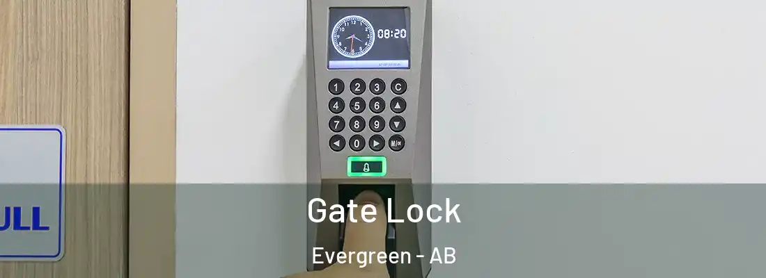  Gate Lock Evergreen - AB