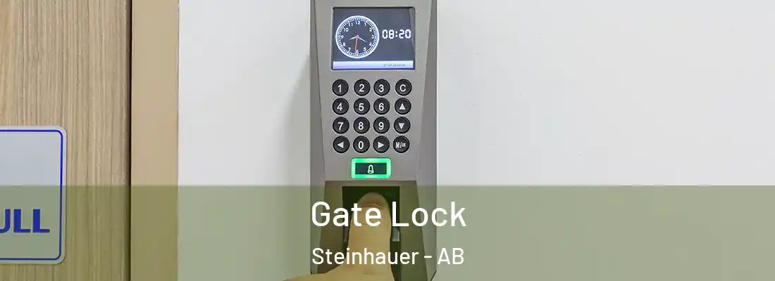  Gate Lock Steinhauer - AB