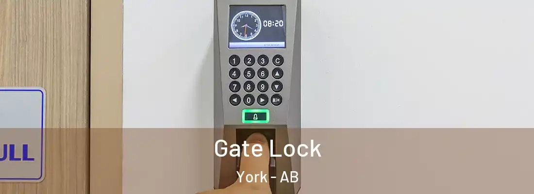  Gate Lock York - AB