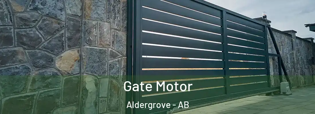  Gate Motor Aldergrove - AB