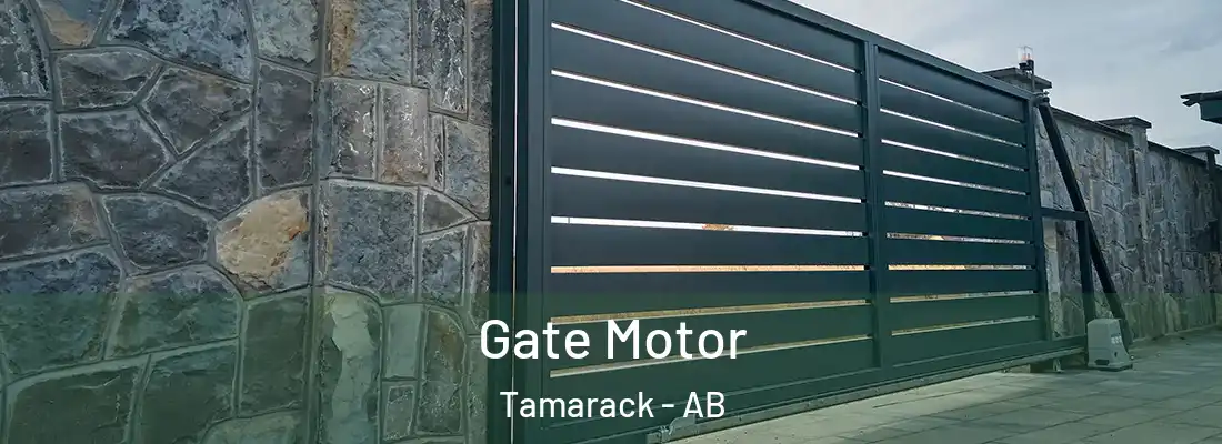  Gate Motor Tamarack - AB