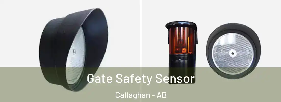  Gate Safety Sensor Callaghan - AB
