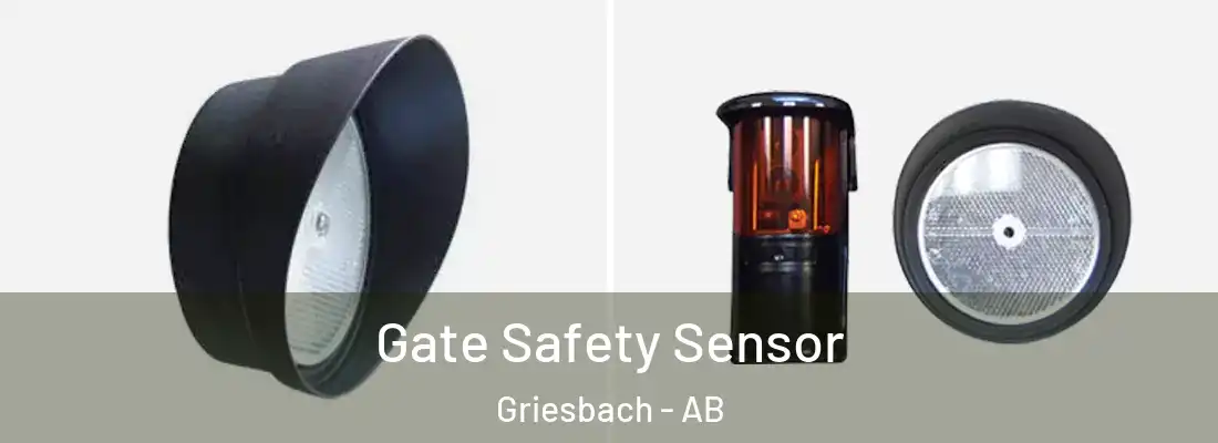  Gate Safety Sensor Griesbach - AB