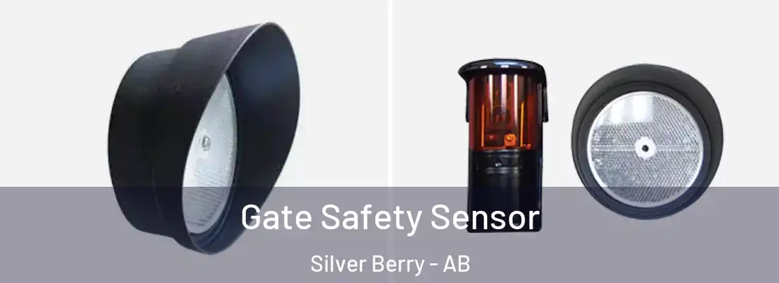  Gate Safety Sensor Silver Berry - AB