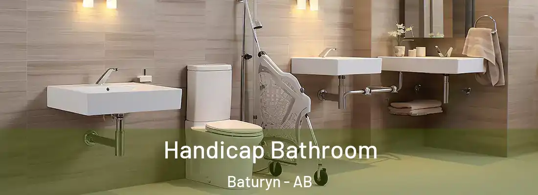  Handicap Bathroom Baturyn - AB