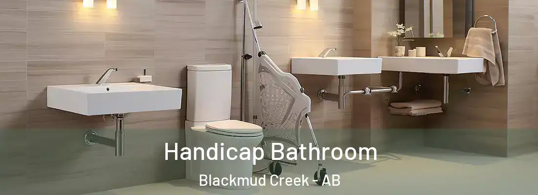  Handicap Bathroom Blackmud Creek - AB
