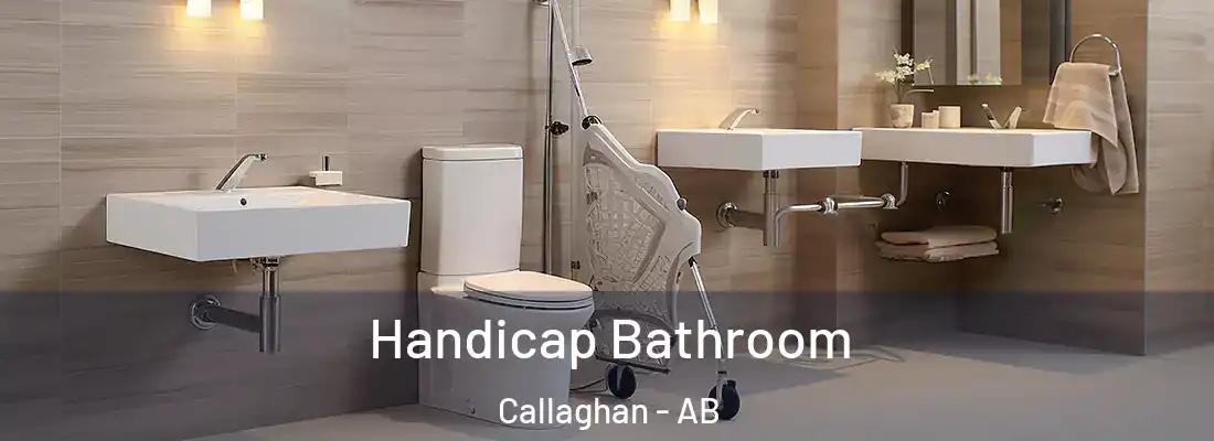  Handicap Bathroom Callaghan - AB