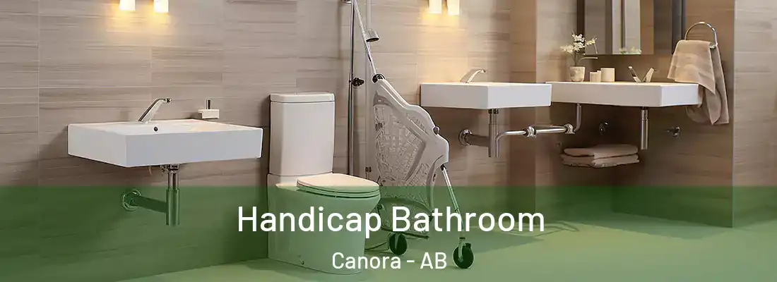  Handicap Bathroom Canora - AB