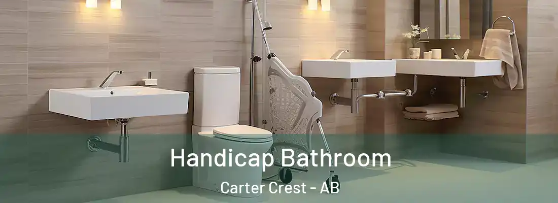  Handicap Bathroom Carter Crest - AB