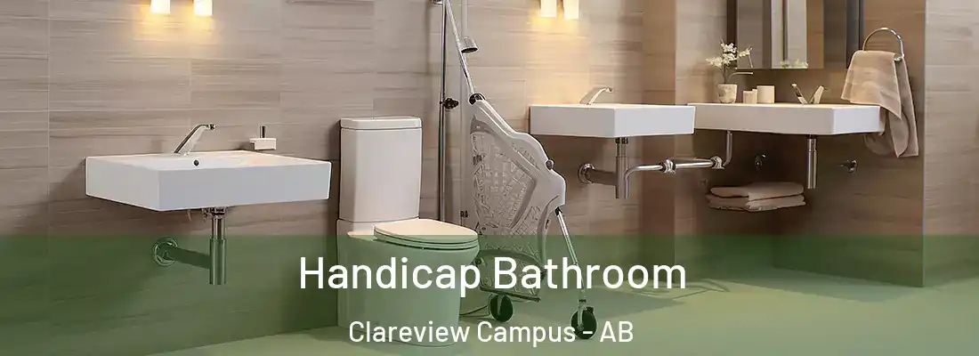  Handicap Bathroom Clareview Campus - AB