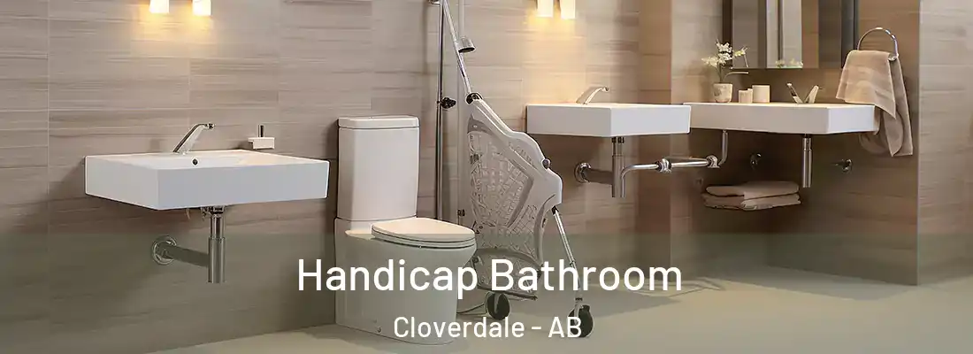  Handicap Bathroom Cloverdale - AB